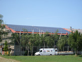 Plant in Wolpertshausen - Hörlebach