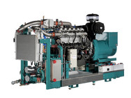 picture 265 kW CHP
