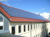 Plant in Waldenburg
