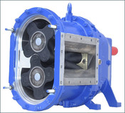 picture detail rotary low pump